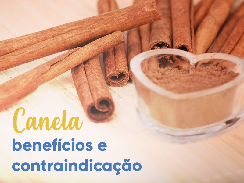 Canela: benefcios e contraindicao